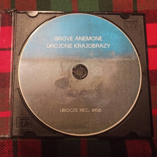 Grove Anemone - Urojone krajobrazy - obrazek 3